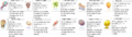 Thumbnail for version as of 07:31, 11 January 2023